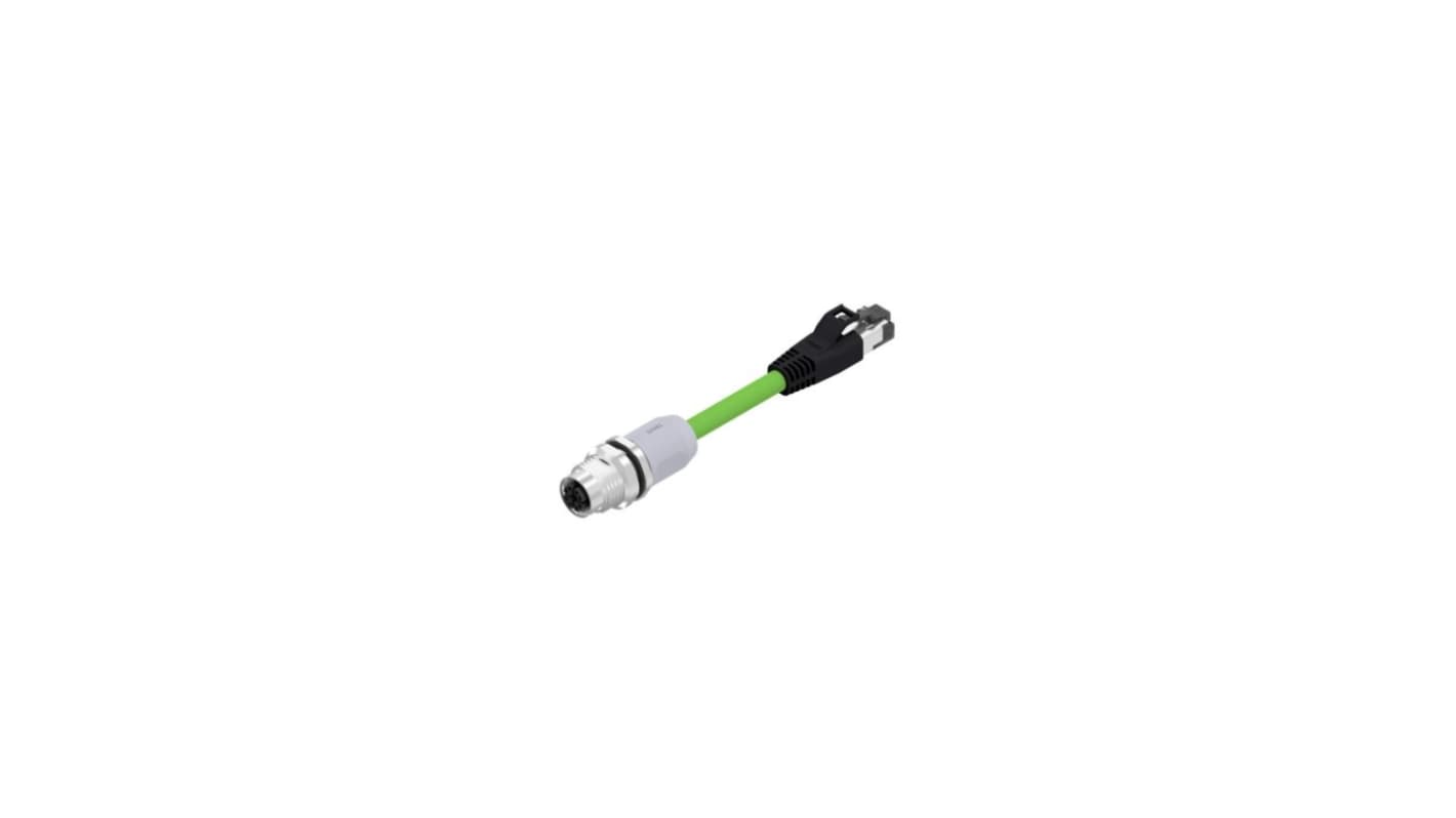 CONEC Circular Connector, 8 Contacts, Panel Mount, M12 Connector, Plug, Male, IP67, 43 Series