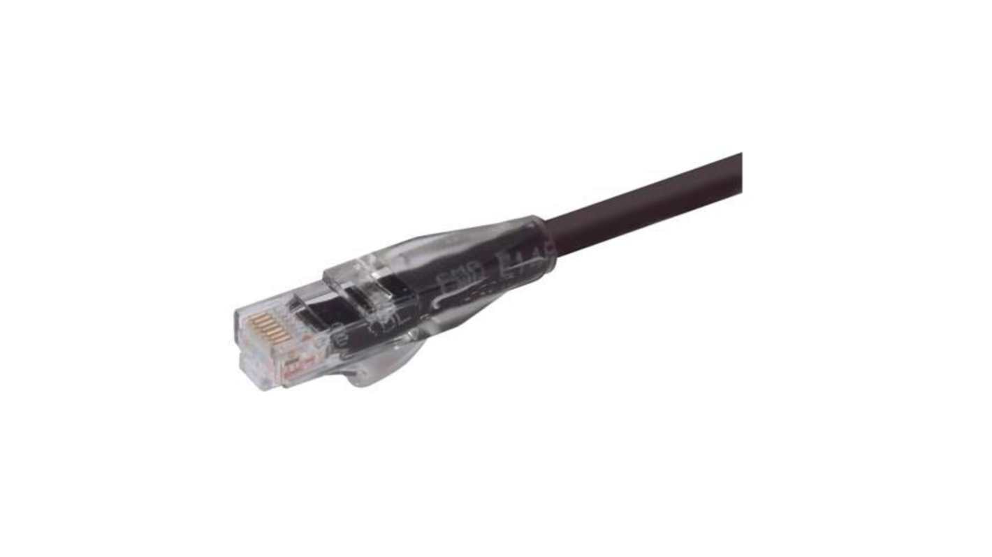 L-ComTRD, 10ft Cat6, Black RJ45 to Male RJ45 Male, Unshielded Unshielded, Terminated PVC Sheath