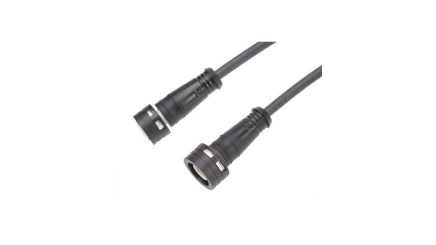 Cavo Molex M12 Femmina / M12 Maschio, L. 1m