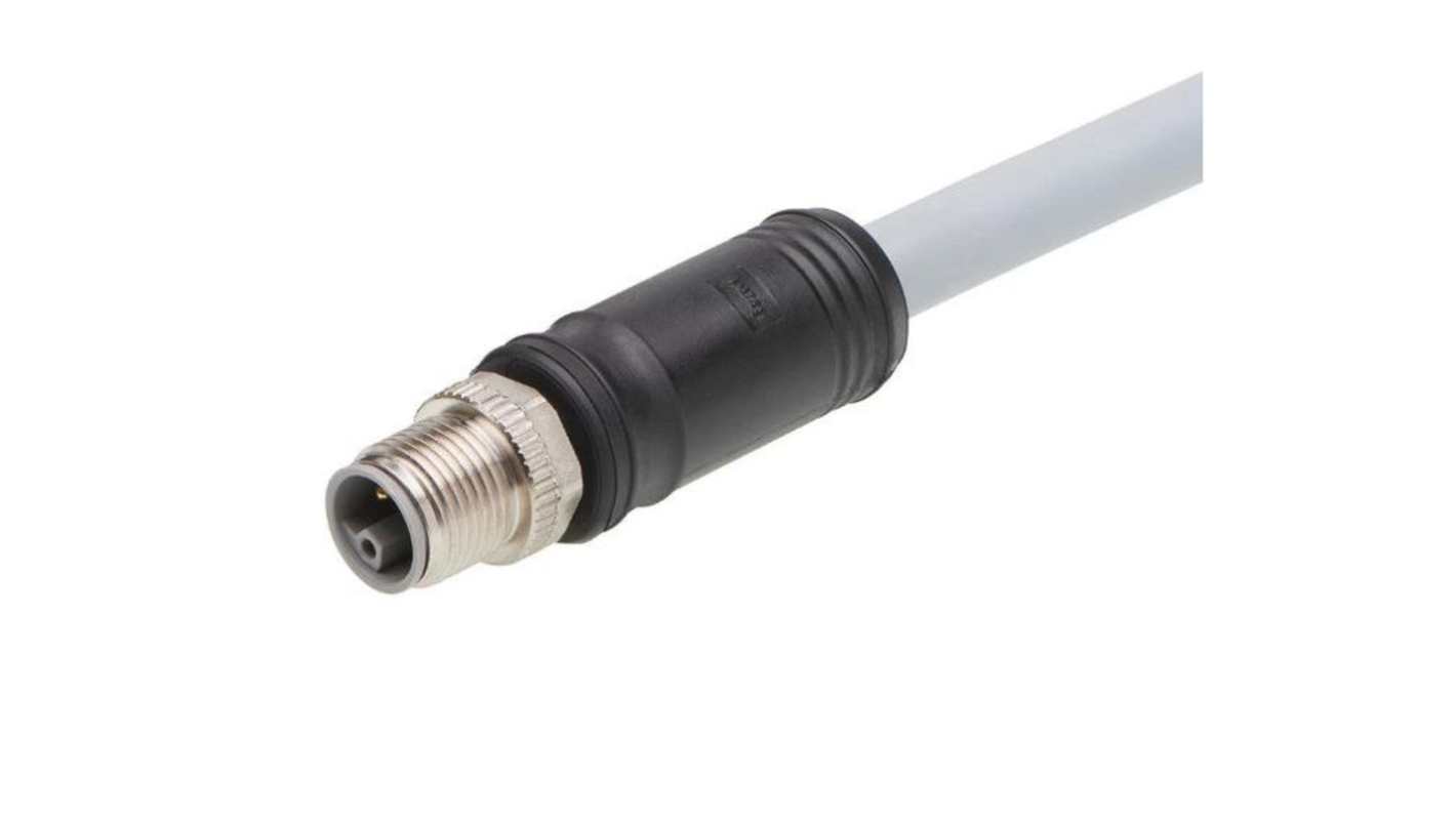 Kabel przemysłowy konfekcjonowany ze złączem Złącze M12 długość 20m Rodzaj A Męskie Złącze B Złącze typu Pigtail