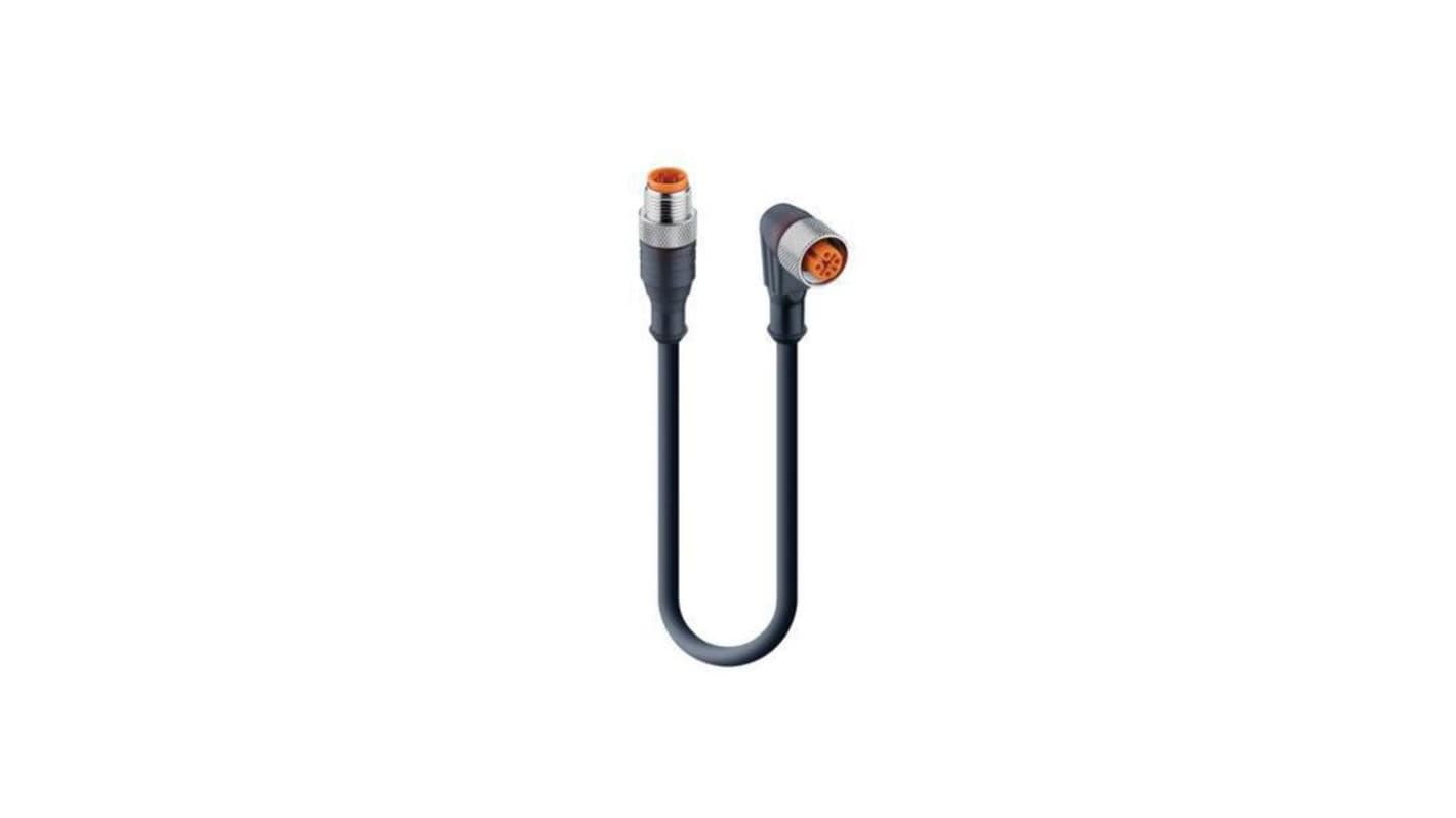 Kabel czujnika ze złączem Złącze M12 liczba rdzeni 4 długość 300mm Rodzaj A Męskie Złącze B Złącze M12
