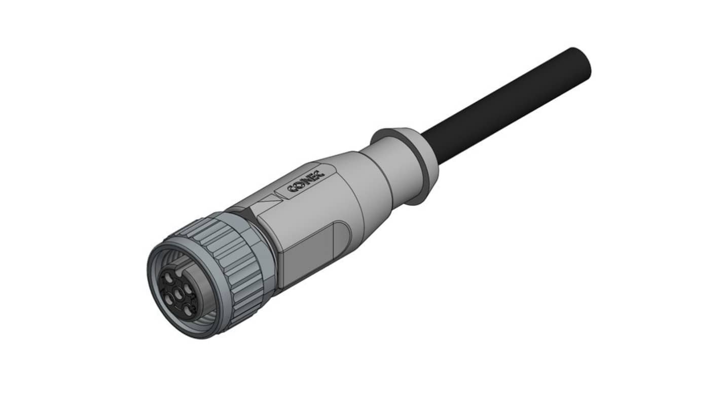Kabel ze złączem Złącze M12 długość 2m Rodzaj A Żeńskie