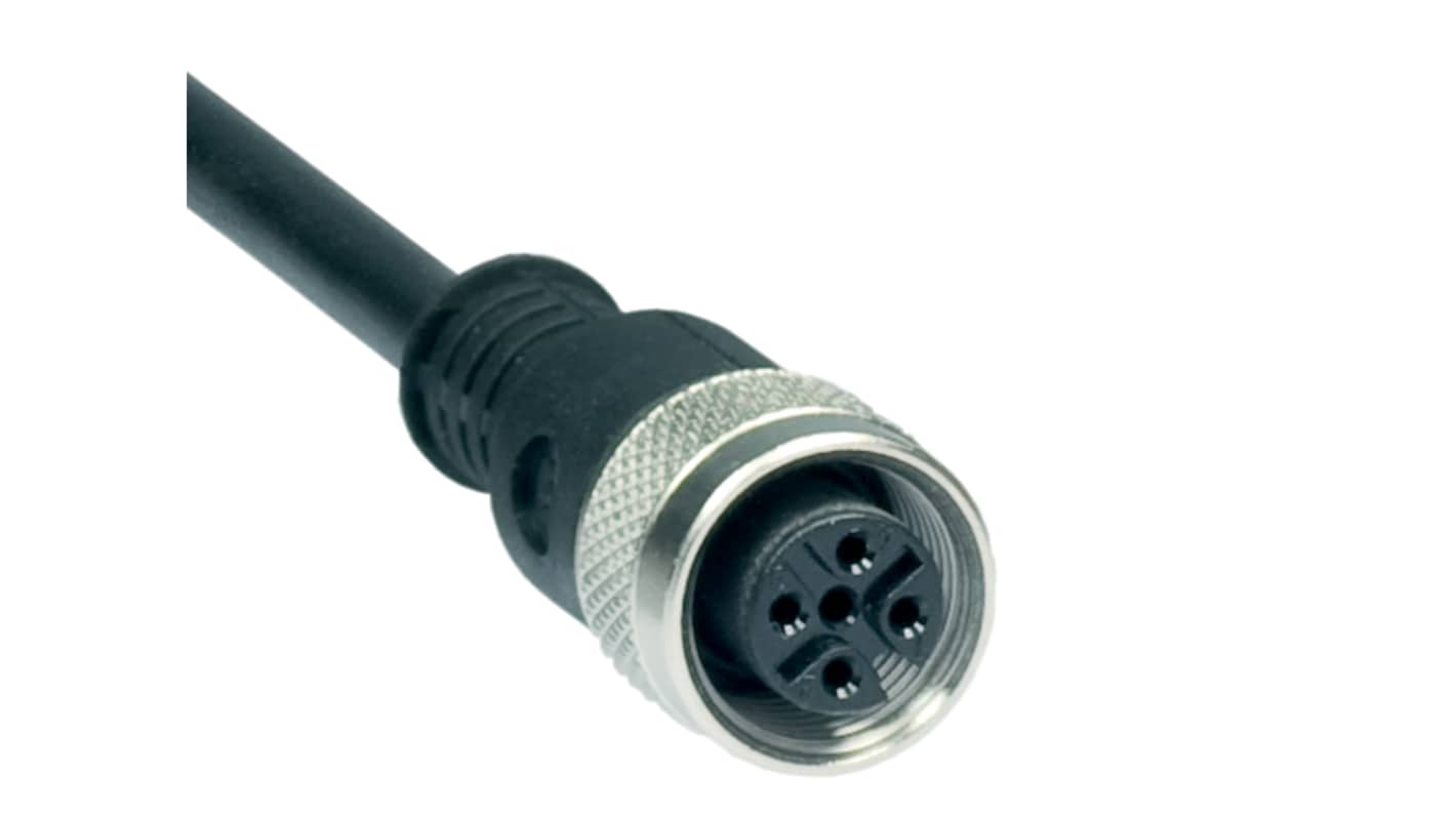 Schmersal Straight Female 4 way 4-Pole to Connector, 10m