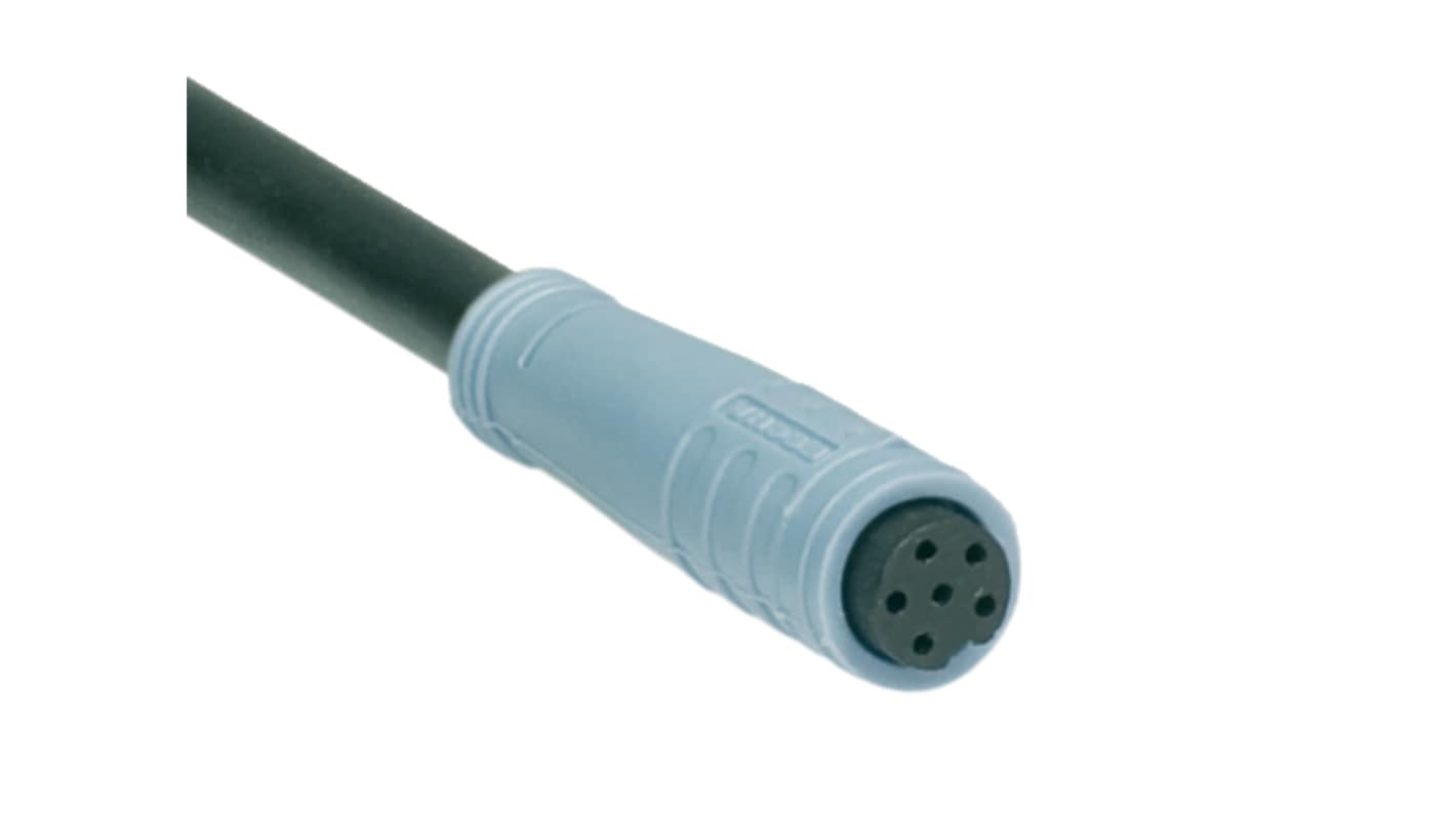 Schmersal Circular Connector, 6 Contacts, Cable, M8 Connector, Socket, Female, IP65, IP67, A-K6P-M8 Series