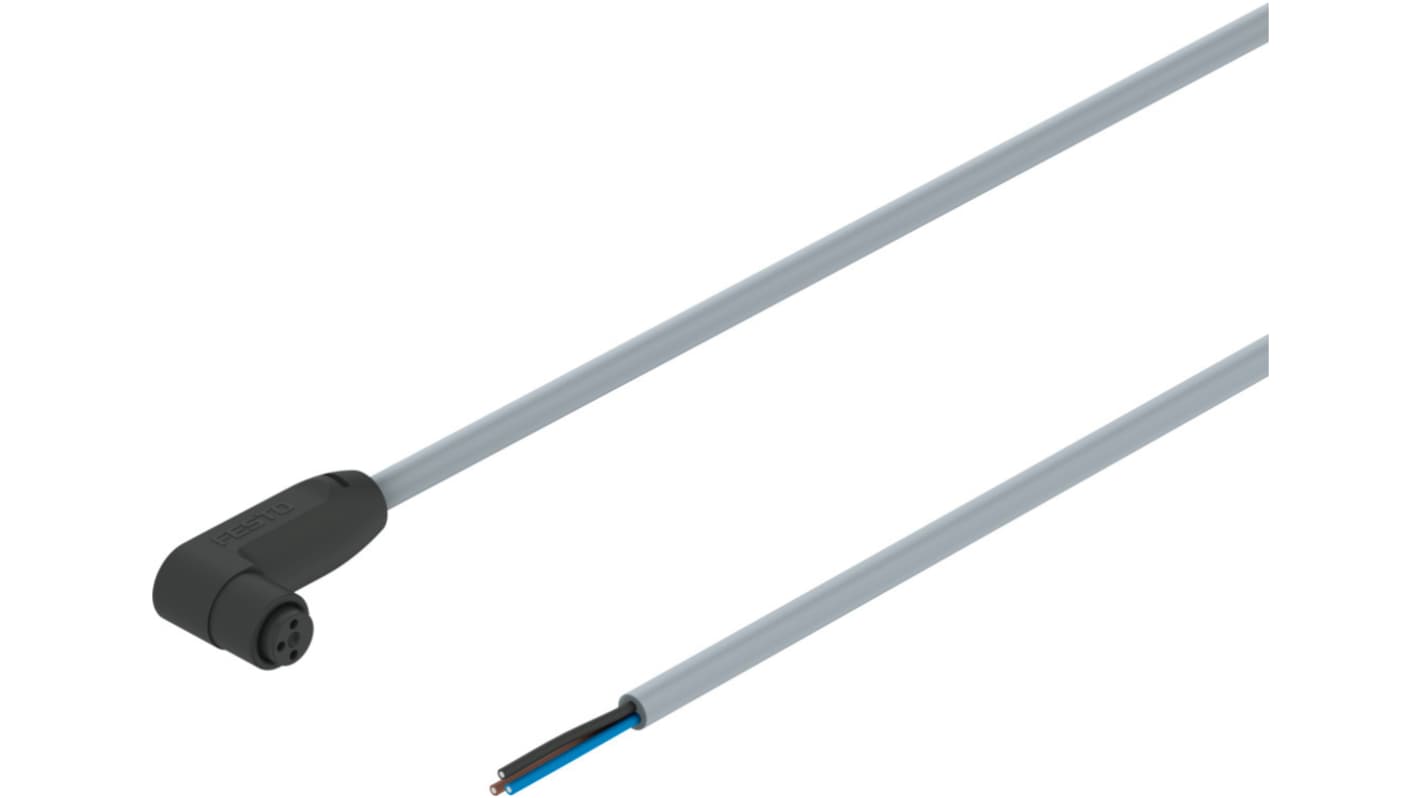 Kabel do siłownika/czujnika Złącze A M8 liczba rdzeni 3 długość 2.5m Rodzaj A Męskie