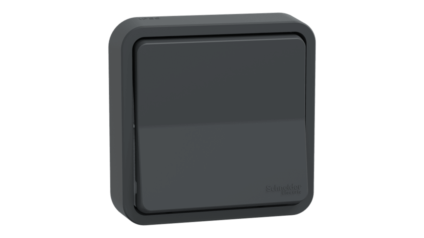 Interrruptor, Gris antracita, IP55, Schneider Electric MUR35037