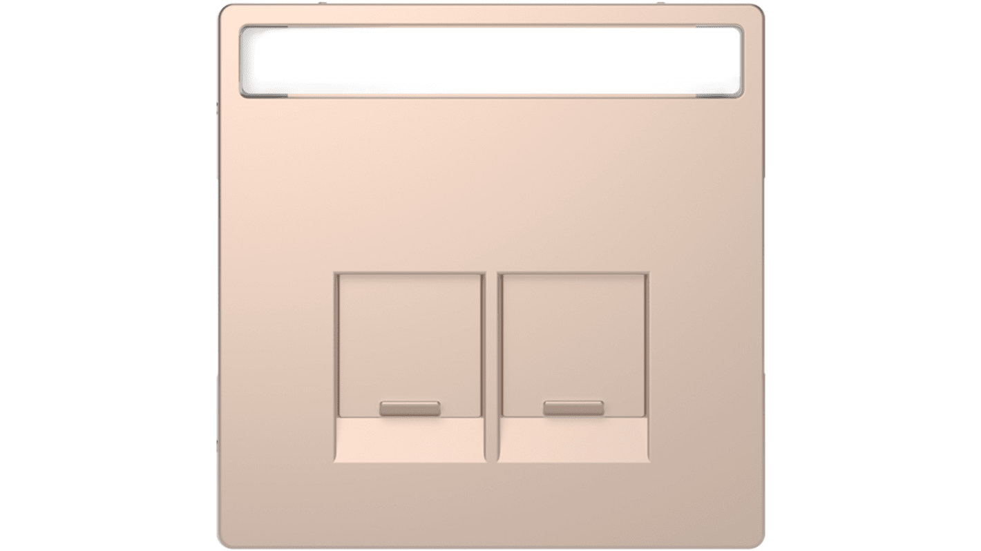 Schneider Electric Brown 2 Gang Cover Plate