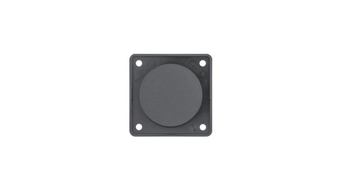 Berker Black 1 Gang Blanking Plate