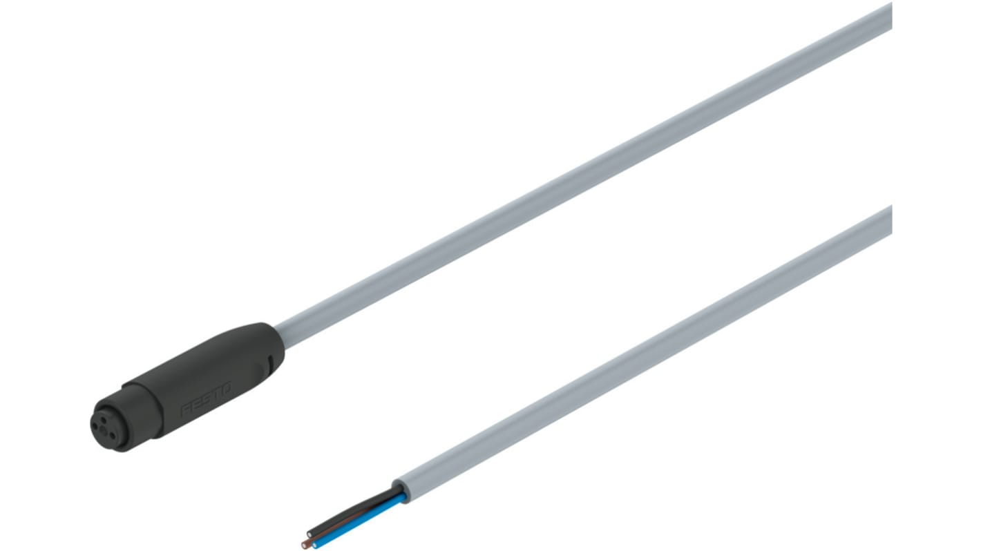 Kabel do siłownika/czujnika Złącze A M8 liczba rdzeni 3 długość 2.5m Rodzaj A Męskie