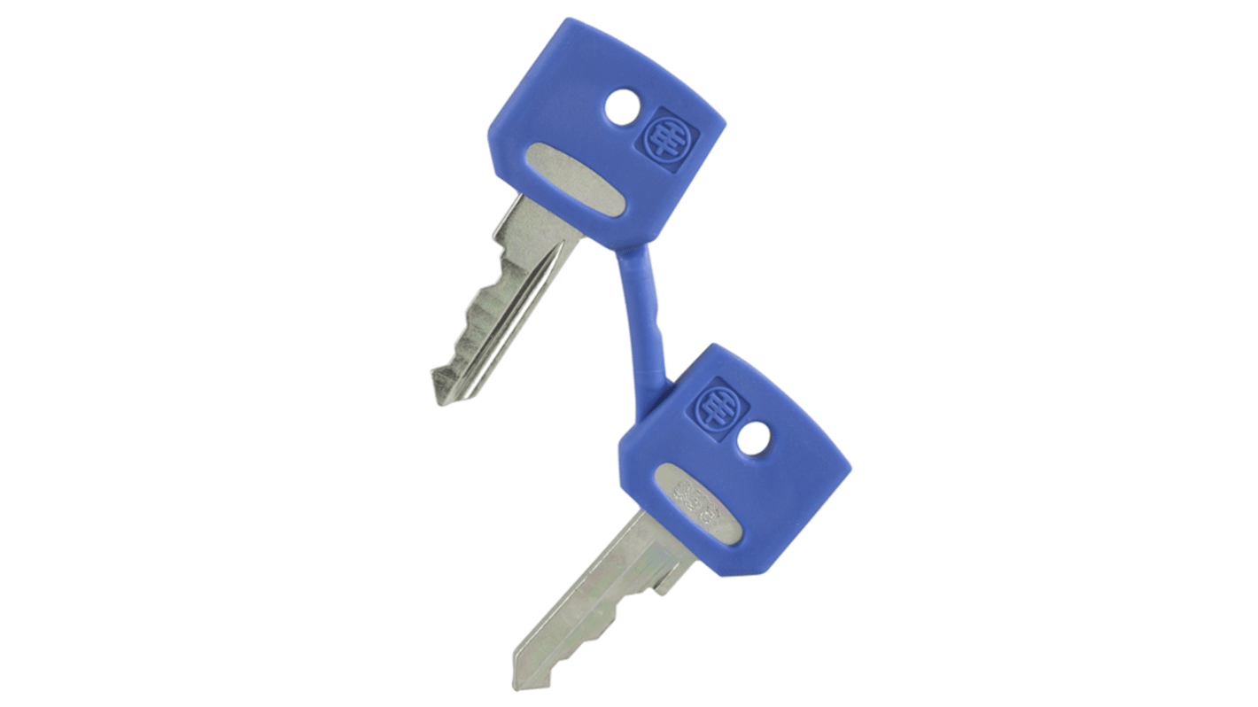 Schneider Electric Key for Fiat Type Of Lock