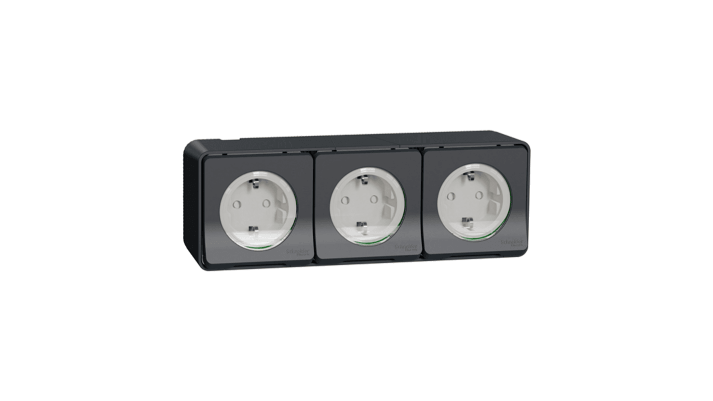 Gniazdo wtykowe Schuko Powierzchniowy Schneider Electric 16A