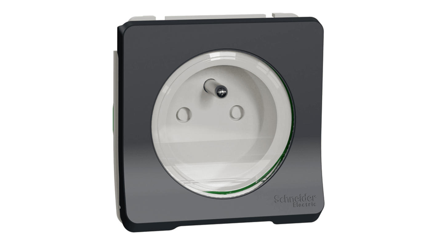 Schneider Electric MUR Anthracite Plug Socket, 2 Poles, 16A, French 2P