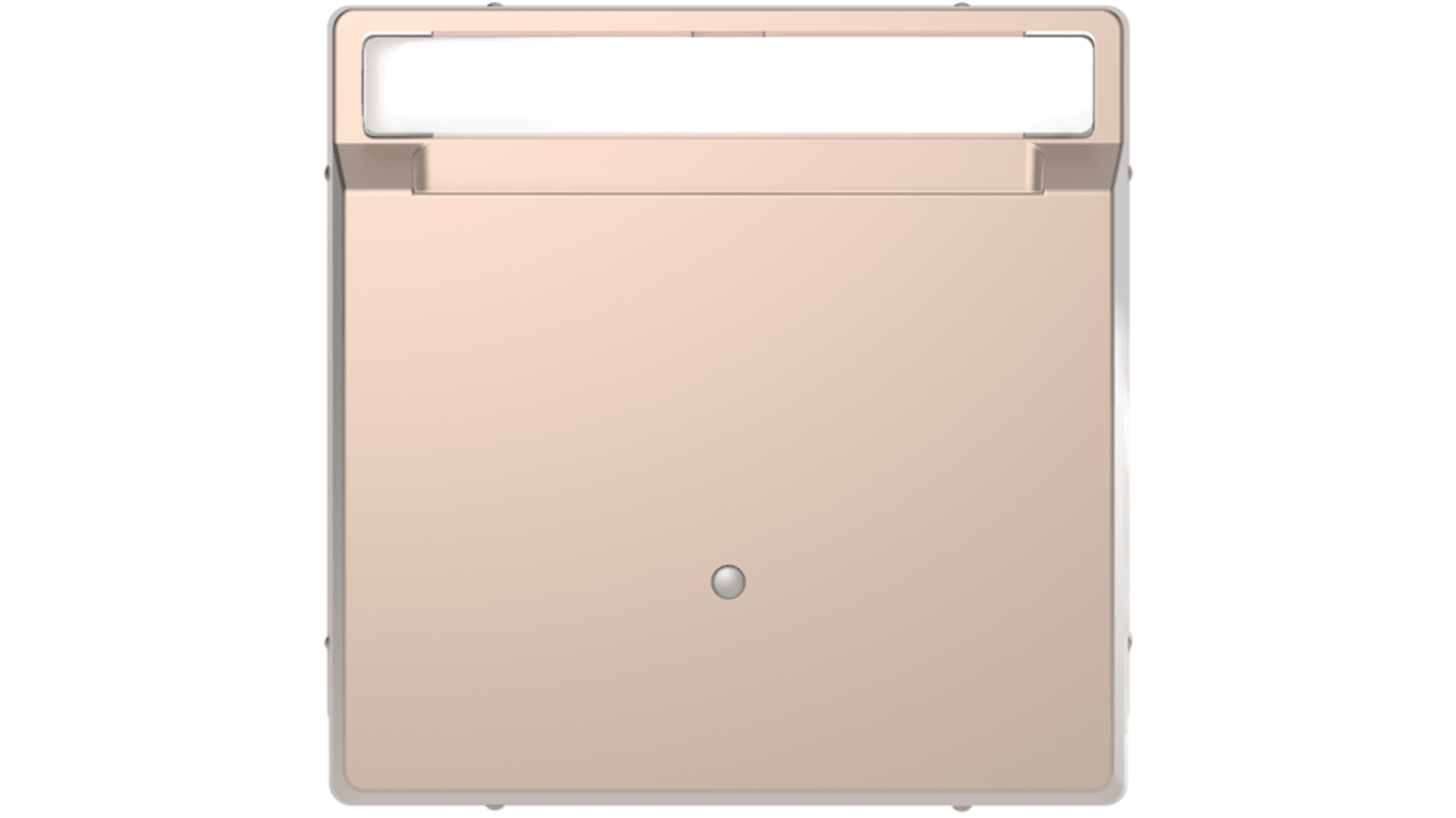 Schneider Electric Cover Plate