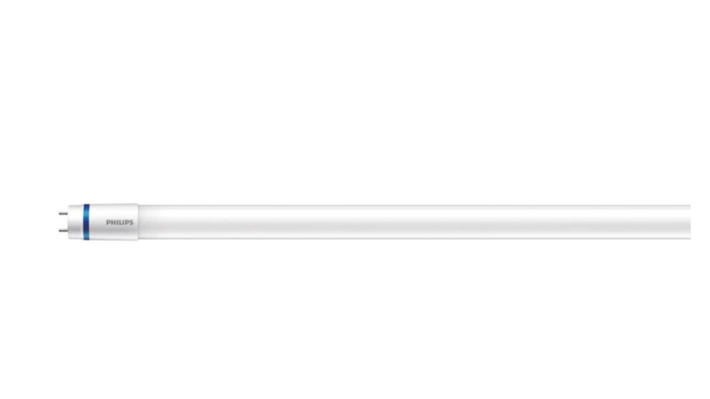 Philips Lighting MAS 1000 lm 8 W LED Tube Light, T8, 1.96ft (600mm)