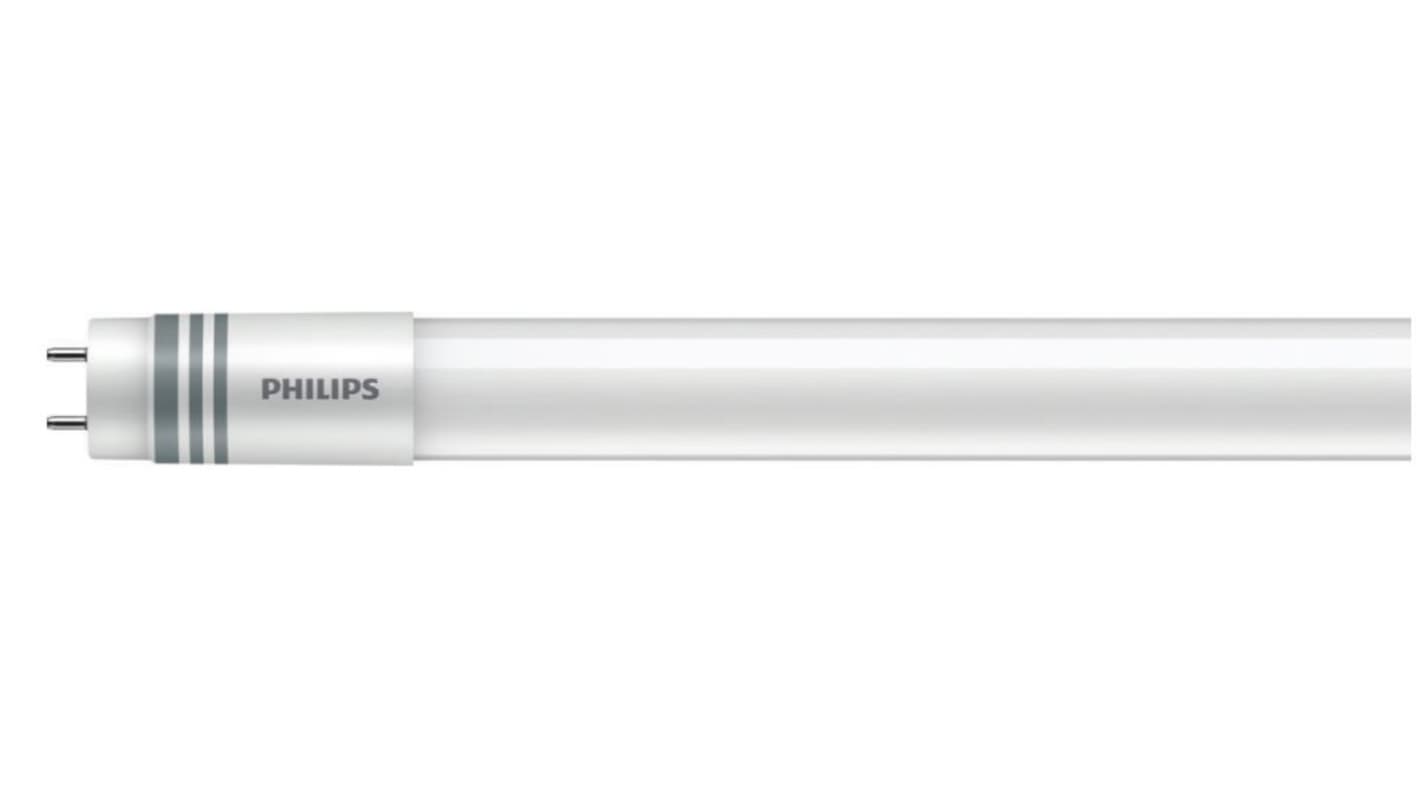 Świetlówka LED G13 8 W T8 900 lm 18W