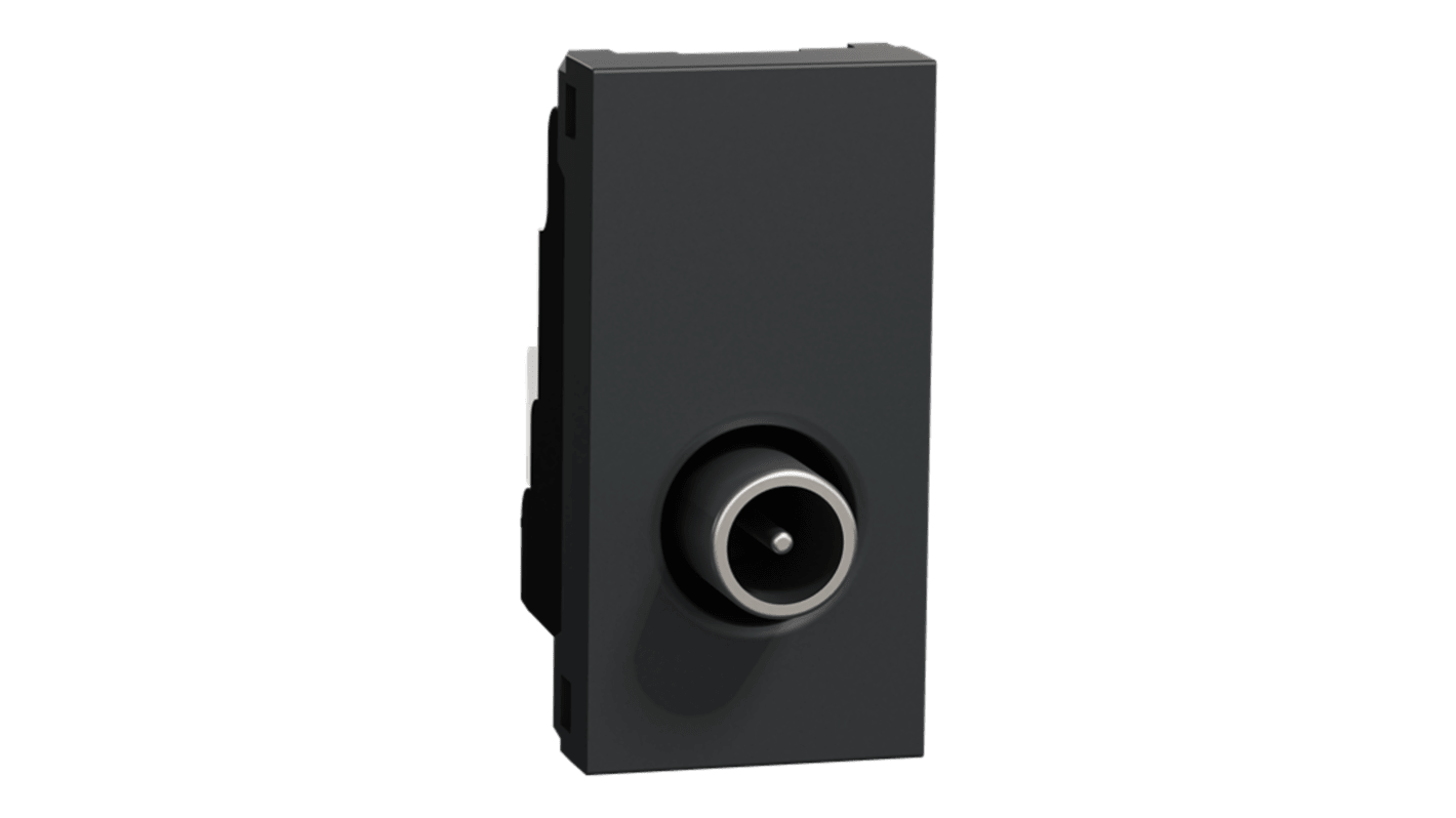 Anthracite Male Socket, Flush Mount
