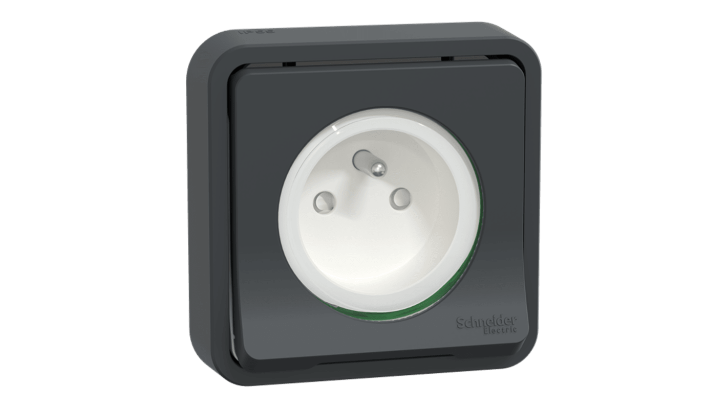 Schneider Electric Mureva Styl Black, White Plug Socket, 2P + E Poles, 16A, Indoor, Outdoor Use