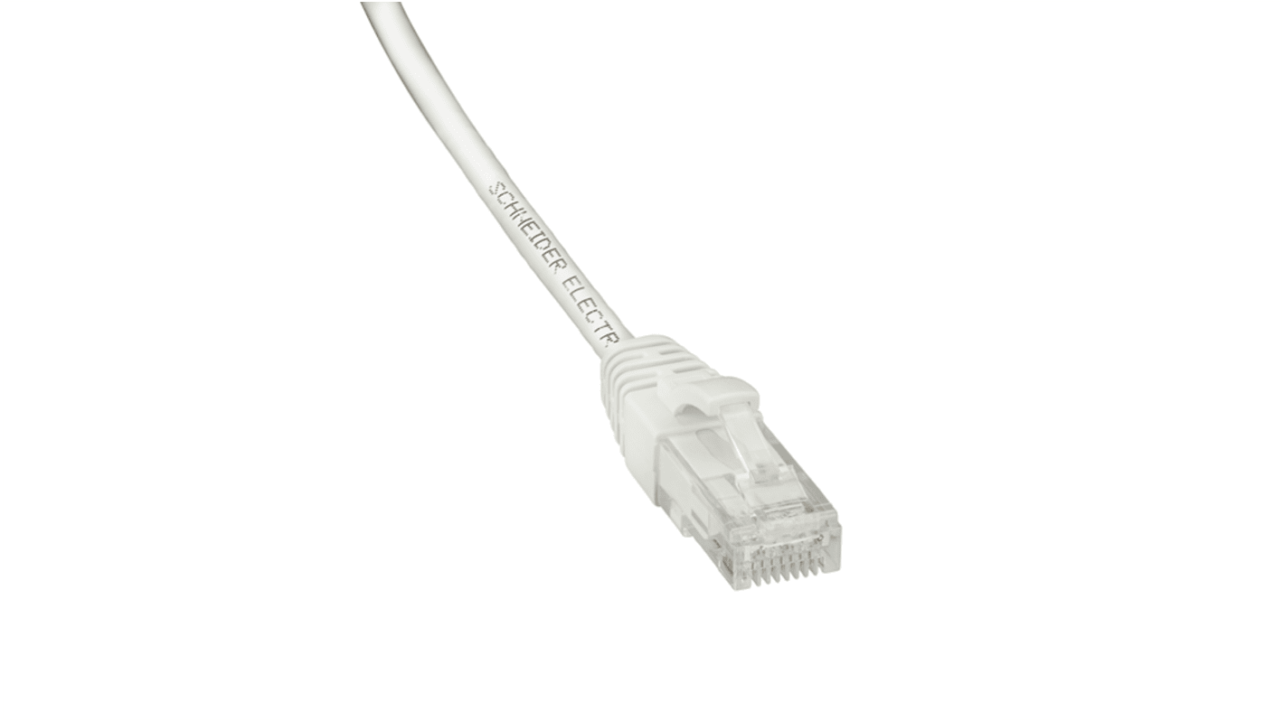 Kabel Ethernet Cat6 długość 3m Z zakończeniem Schneider Electric Polietylen