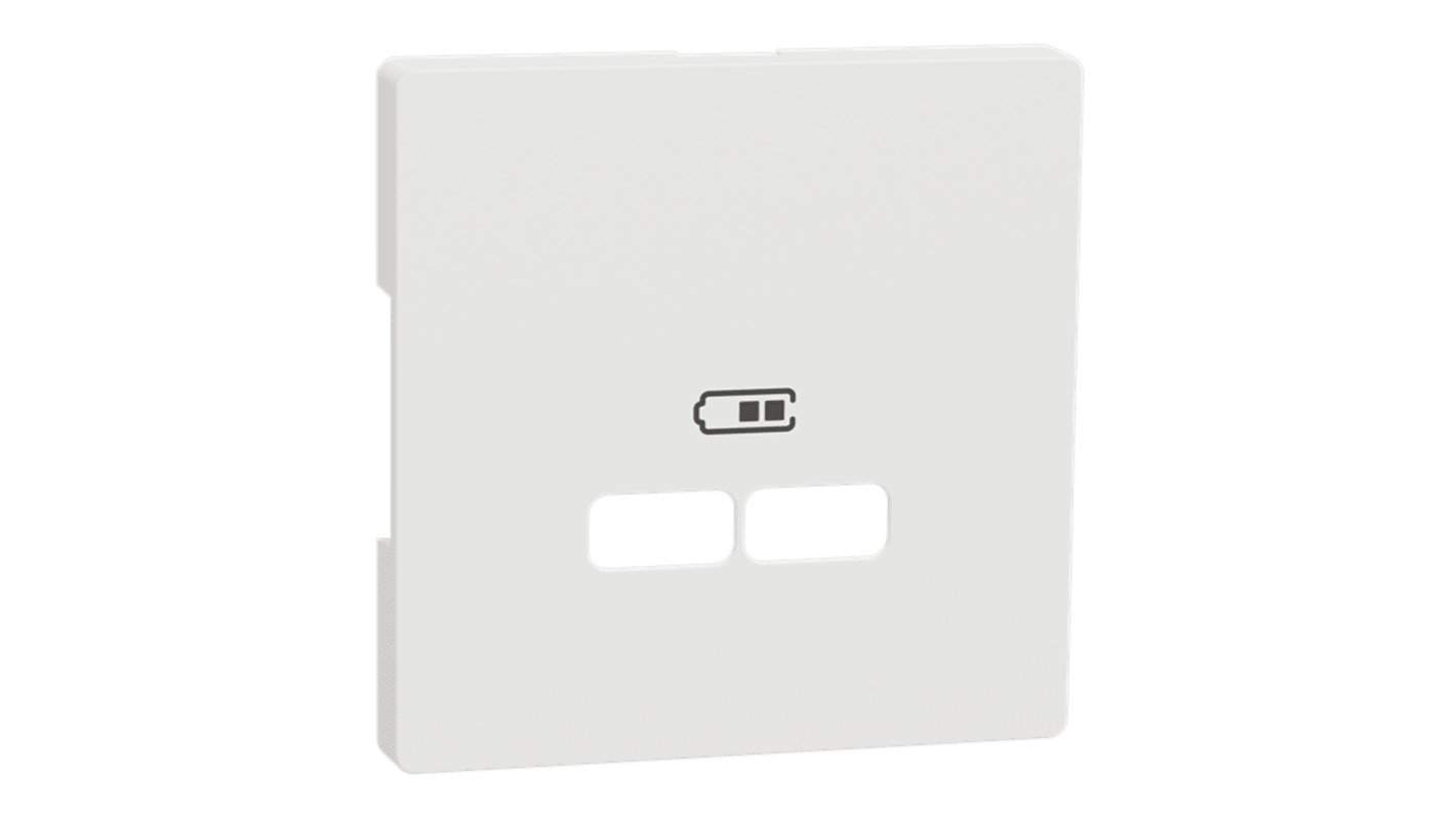 Schneider Electric Anthracite 2 Gang Cover Plate