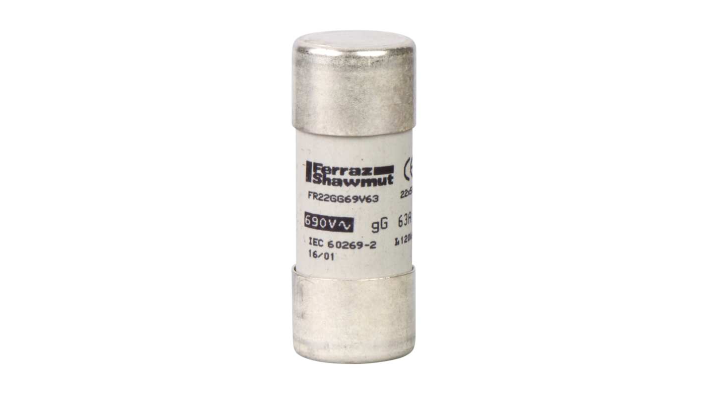 Schneider Electric 20A Cartridge Fuses, 22.2 x 58mm