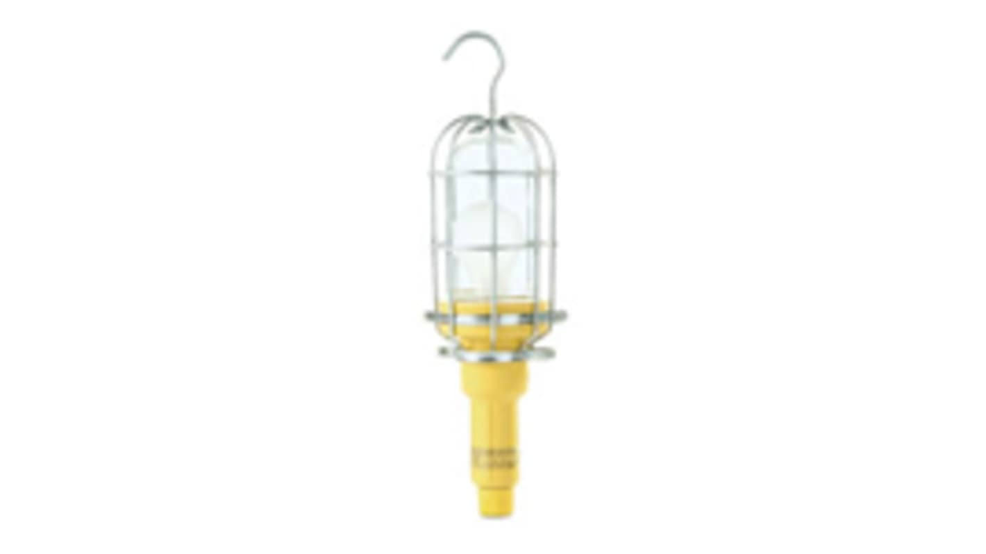 Molex GLS Incandescent Light Bulb, Clear, 120 V