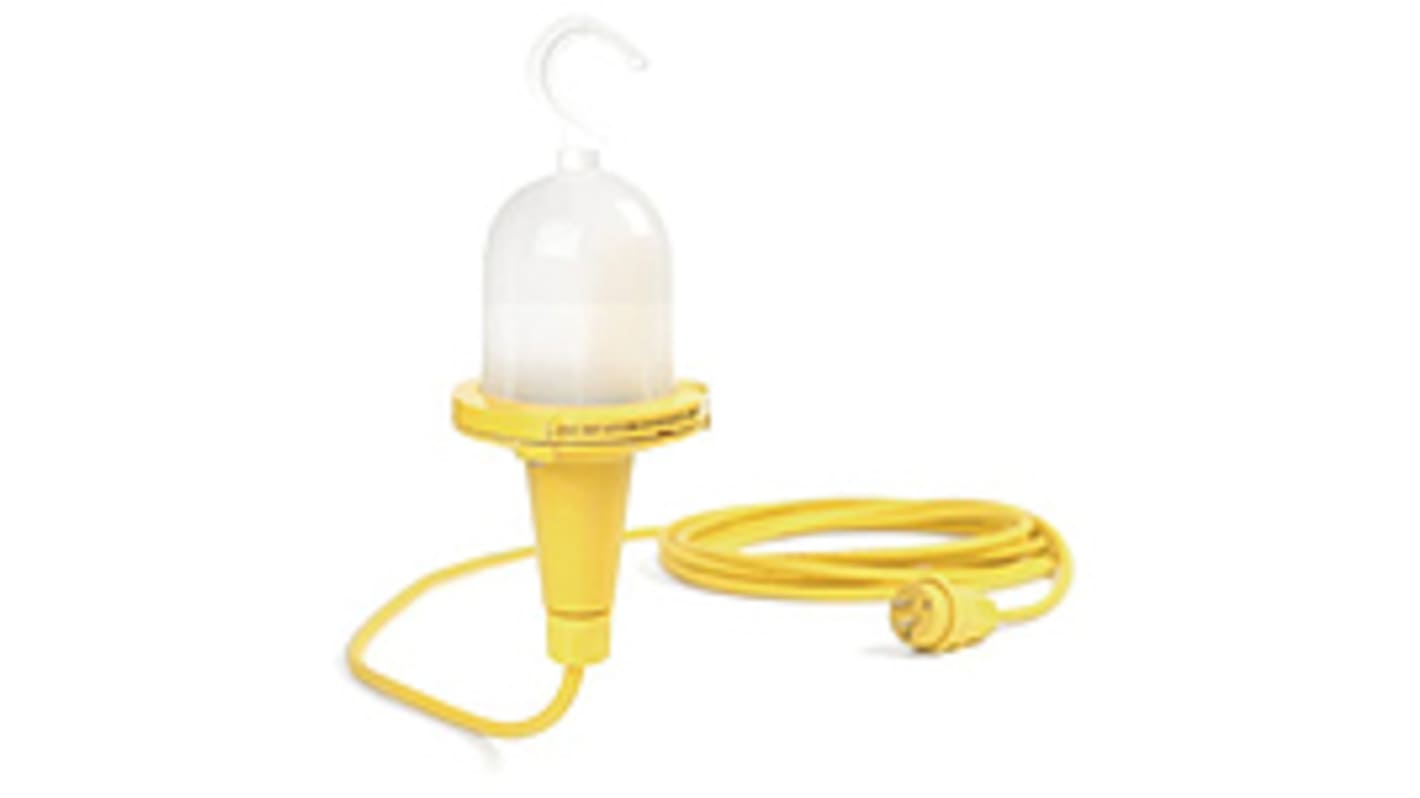 Molex PTFE GLS Incandescent Light Bulb, Clear, 120 V
