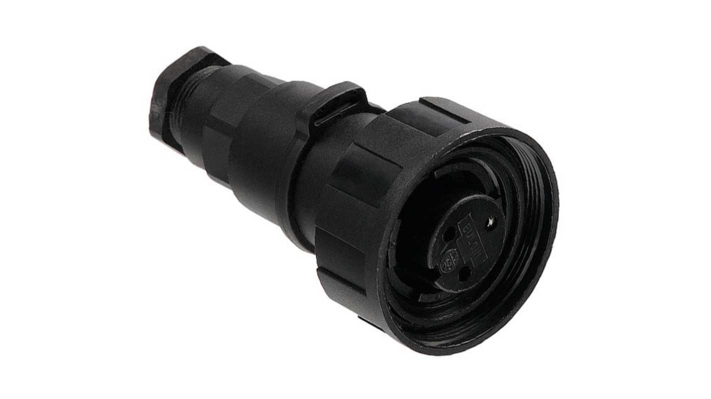 Connettore circolare Bulgin, femmina, serie Standard Buccaneer, Standard, 3 poli, Montaggio su cavo