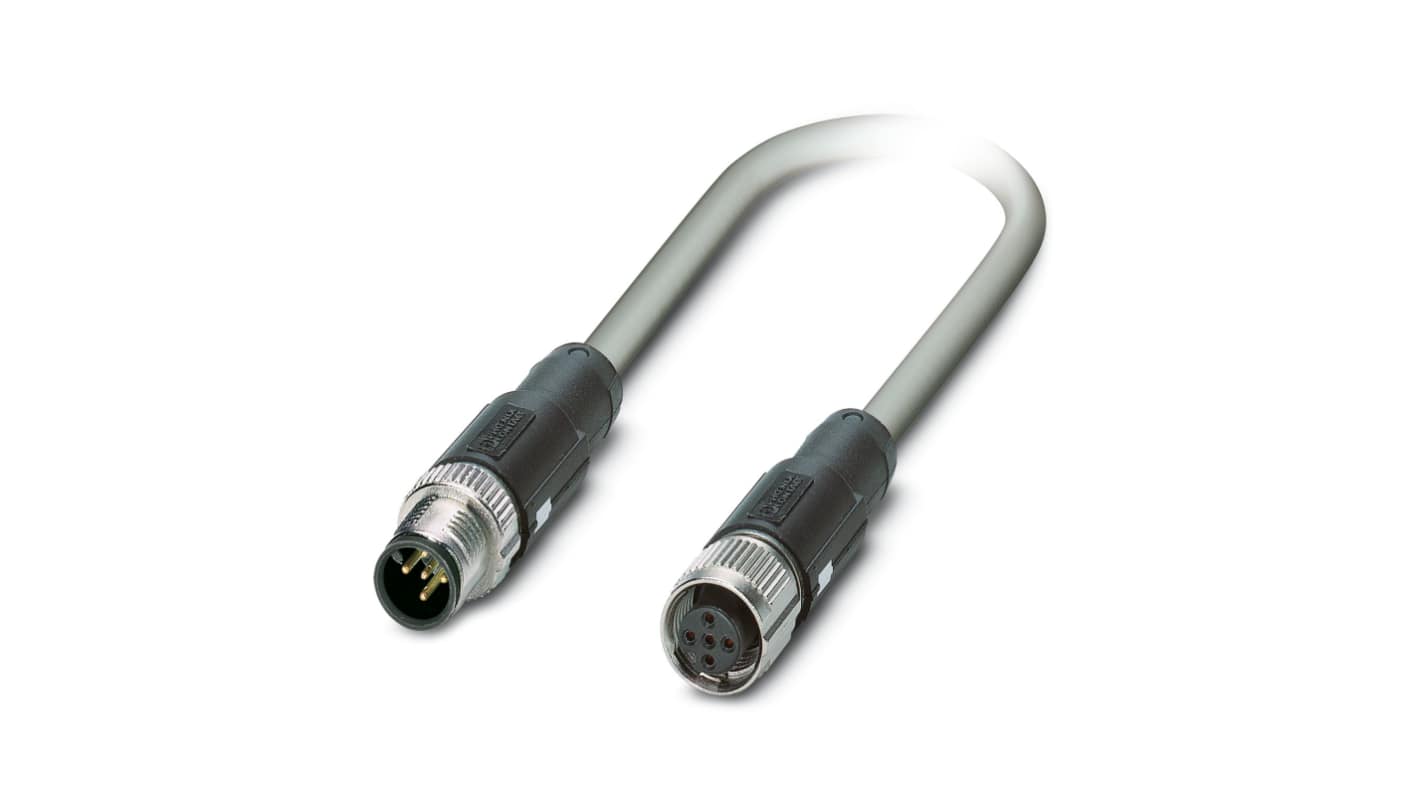Kabel magistrali ze złączem Złącze M12 liczba rdzeni 5 długość 500mm Rodzaj A Męskie Złącze B Złącze M12