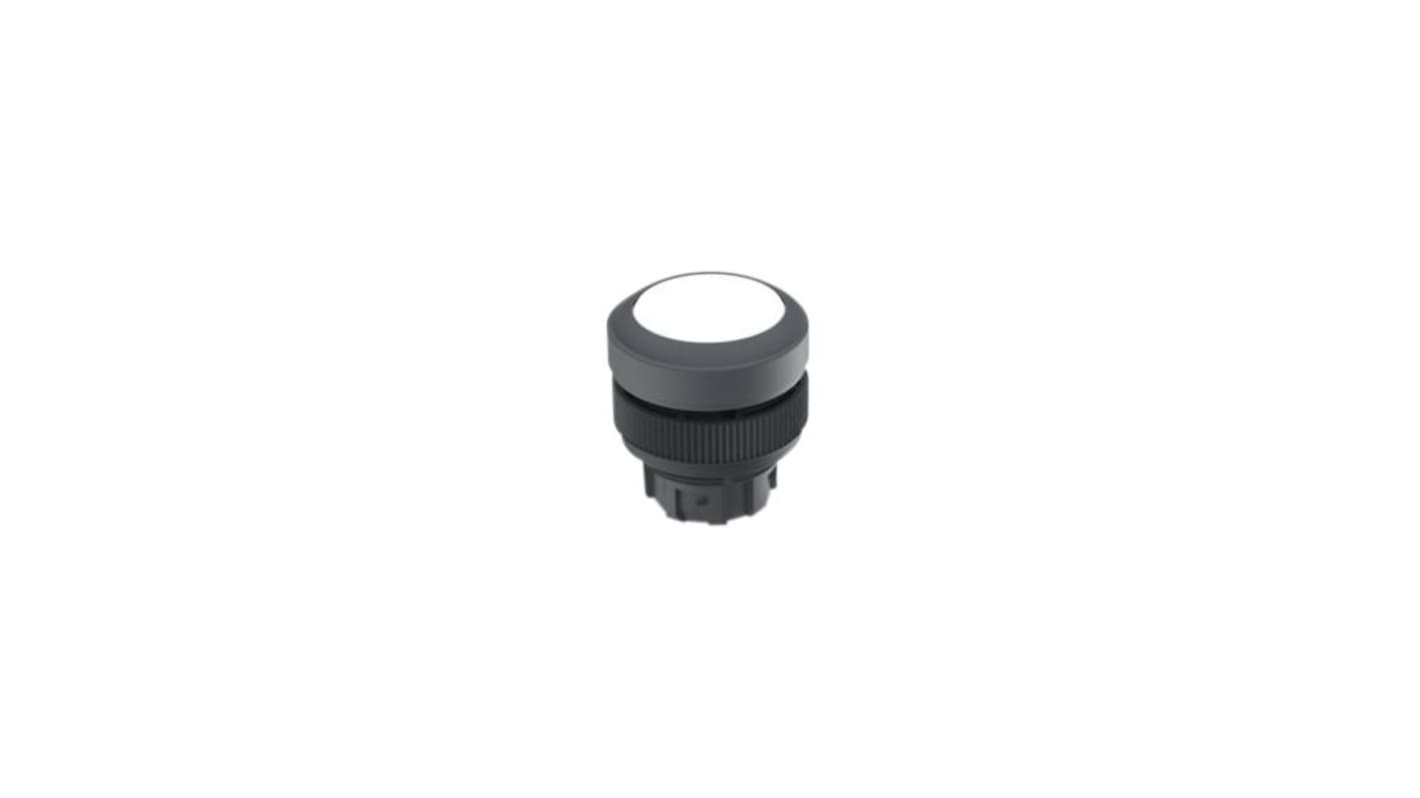 RAFI Push Button Switch for Use with RAFIX Switching Element
