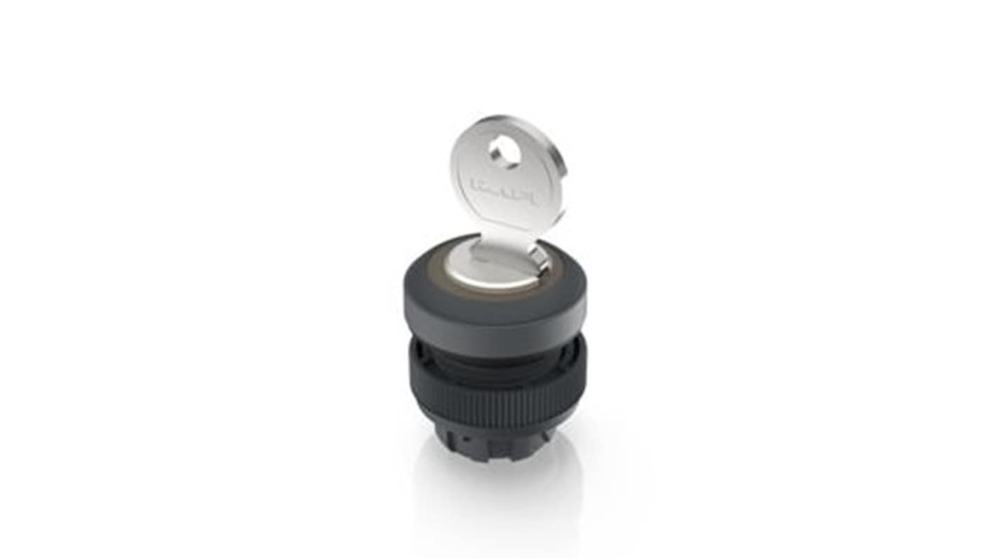 RAFI IP65 Key Switch 421-Way Tubular-Key