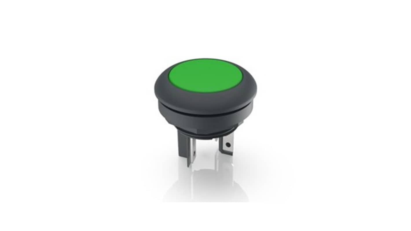 RAFI LUMOTAST 16 Series Illuminated Push Button Switch, Momentary, Through Hole, 16.2mm Cutout, 1 NO, 35V, IP65, IP67