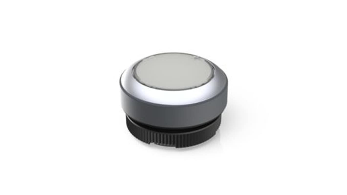 RAFI RAFIX 22 Series Illuminated Illuminated Push Button Switch, Momentary, Through Hole, 22.3mm Cutout, 250V, IP65