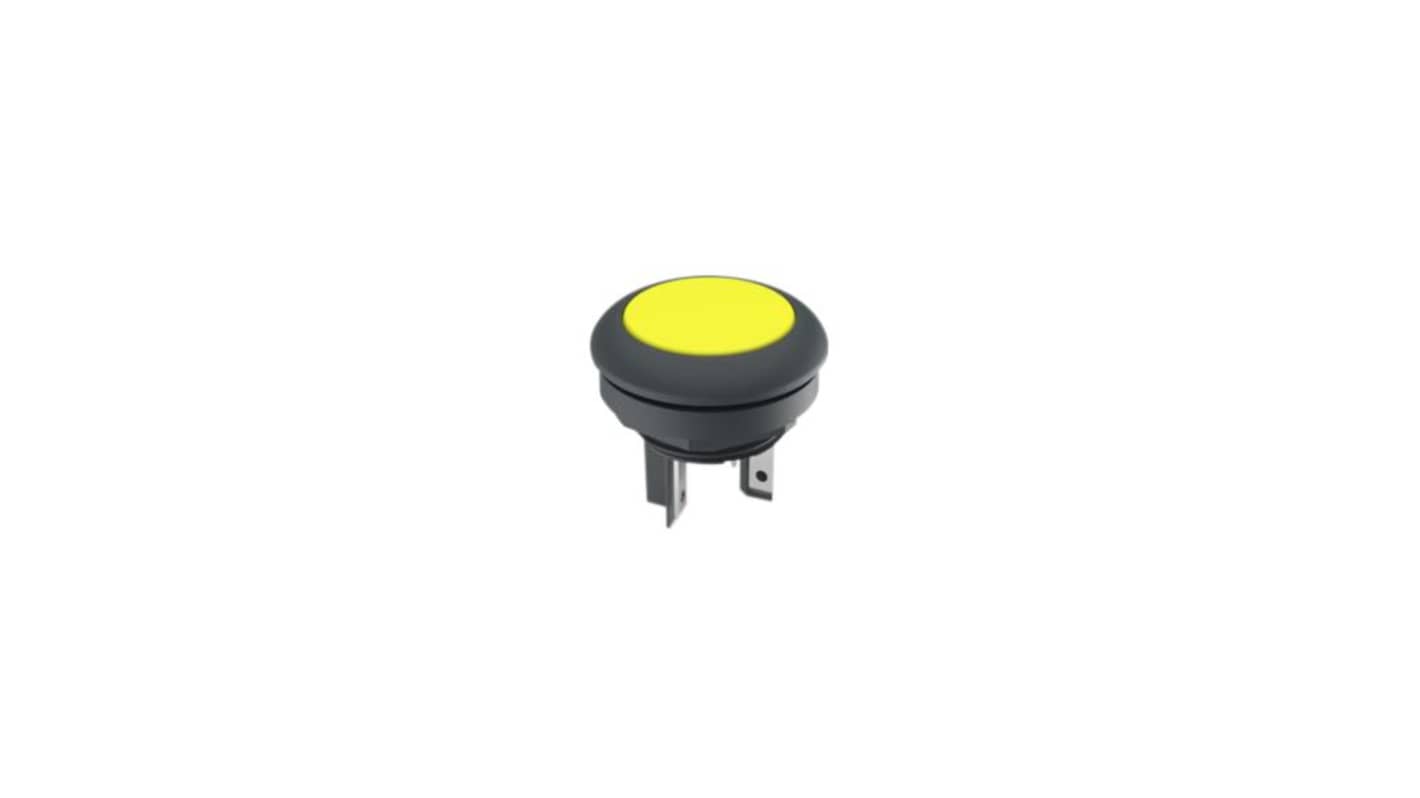 RAFI LUMOTAST 16 Series Illuminated Illuminated Push Button Switch, Momentary, Through Hole, 16.2mm Cutout, 1 NO, White