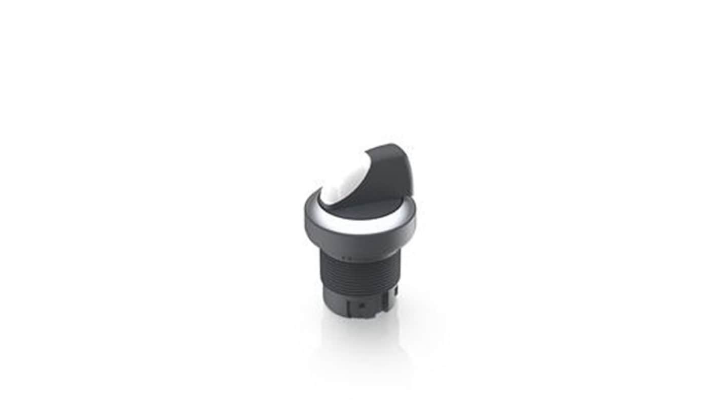 RAFI Selector Switch - 22.3mm Cutout Diameter, Illuminated 2 Positions