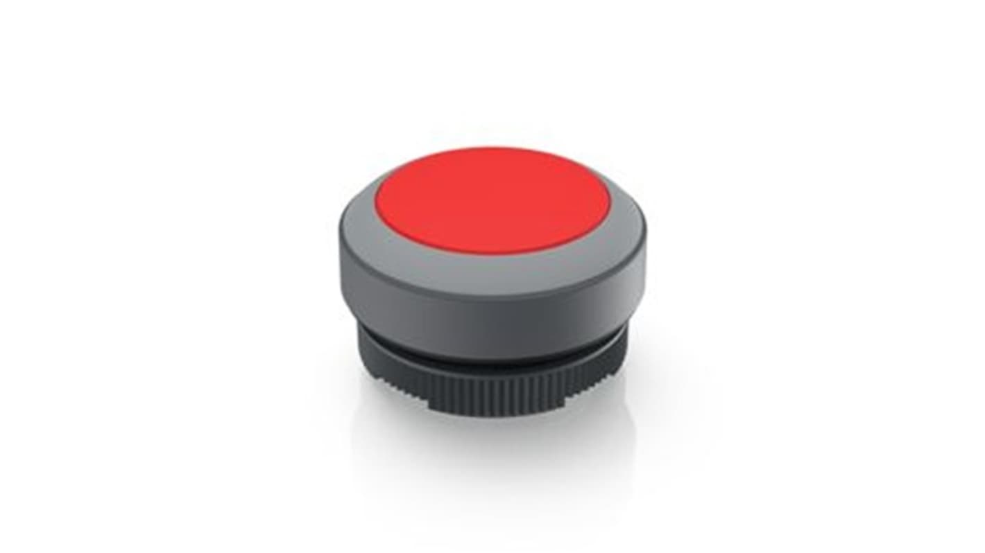 RAFI Push Button Bezel for Use with Illuminated Pushbutton