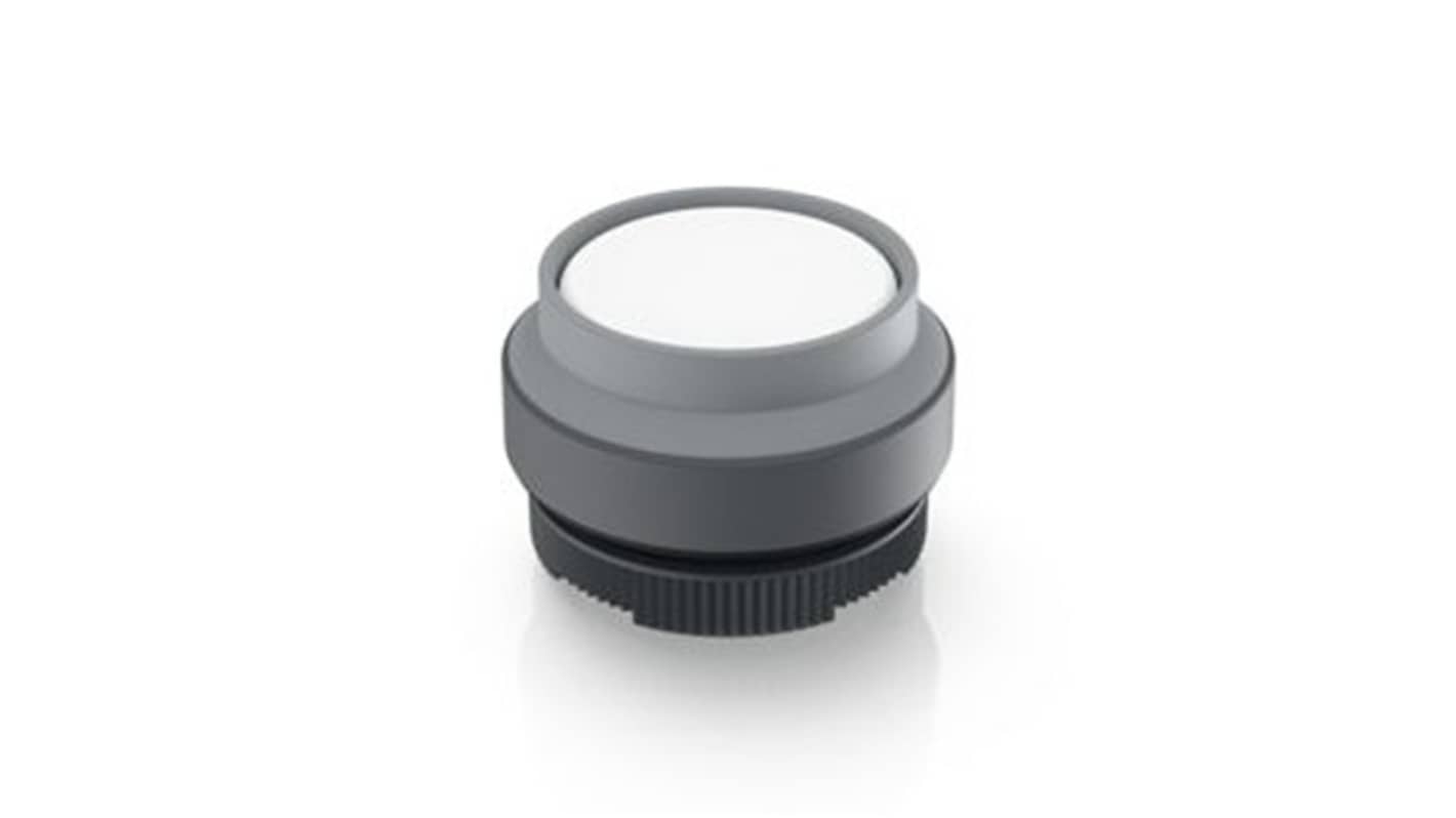 RAFI Push Button Bezel for Use with Illuminated Pushbutton