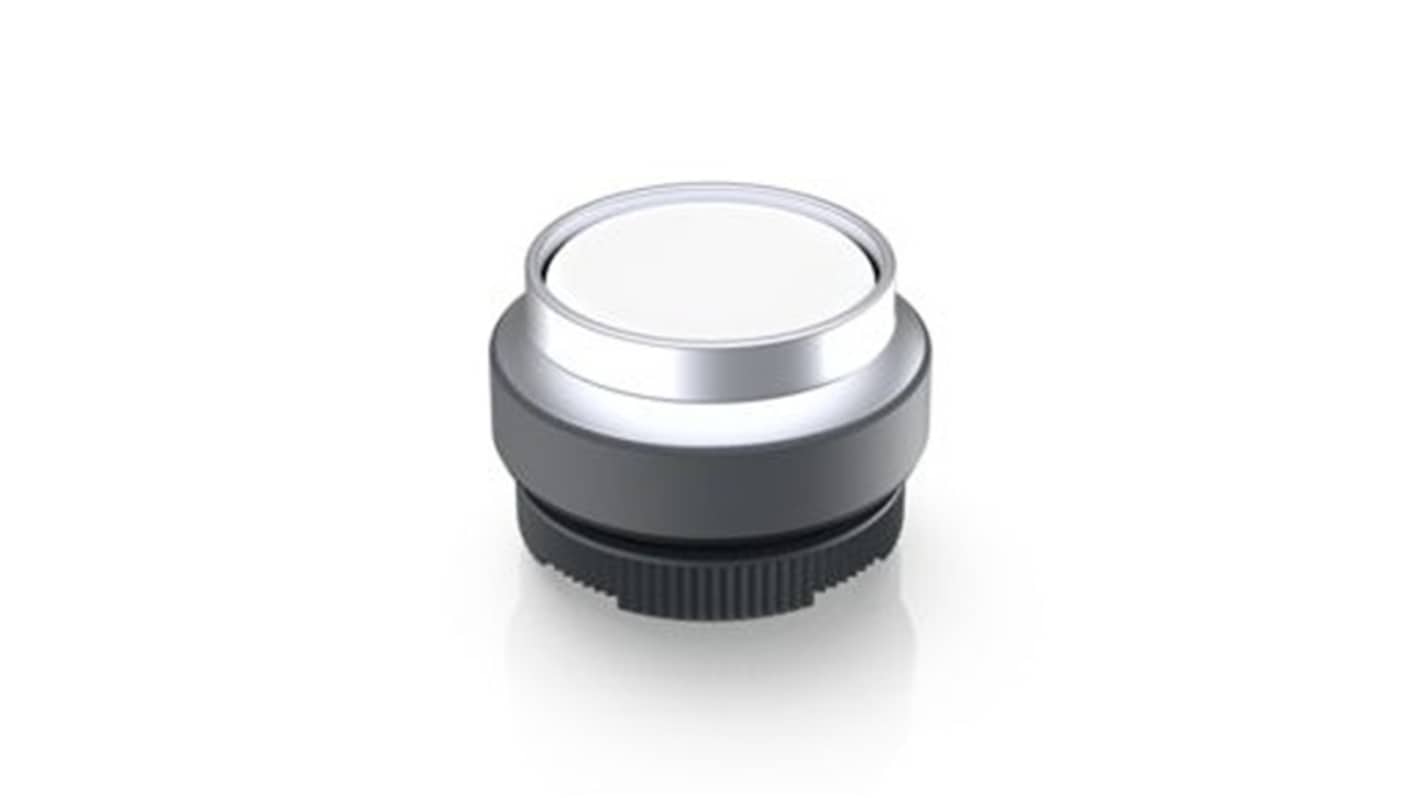 RAFI Push Button Bezel for Use with Illuminated Pushbutton