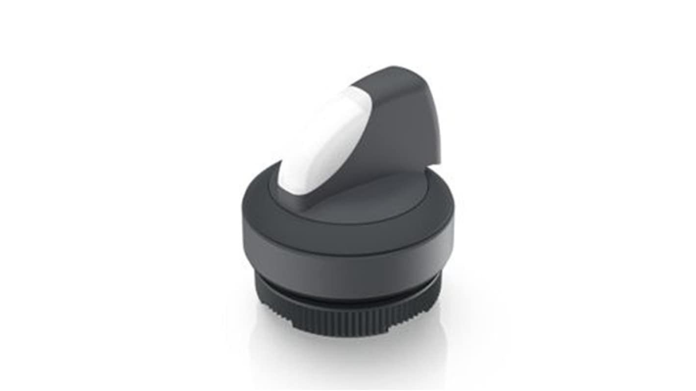 RAFI Selector Switch - 22.3mm Cutout Diameter, Illuminated 2 Positions