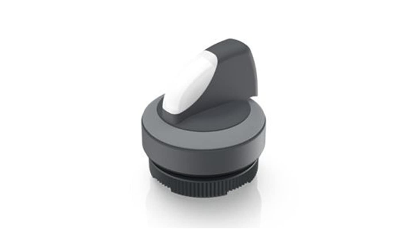 RAFI Selector Switch - 22.3mm Cutout Diameter, Illuminated 1 Positions