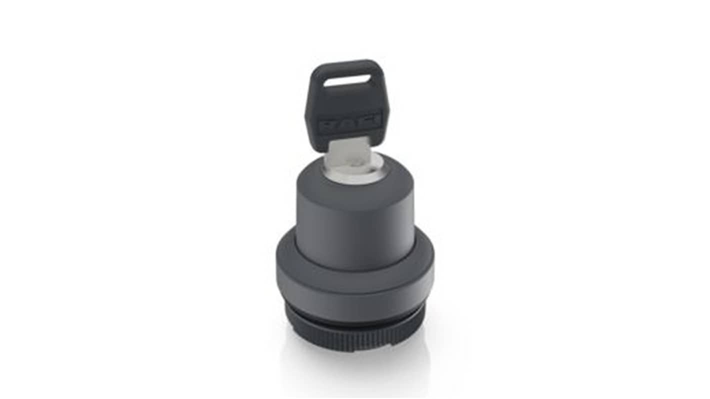 RAFI IP65 Key Switch 1-Way Tubular-Key