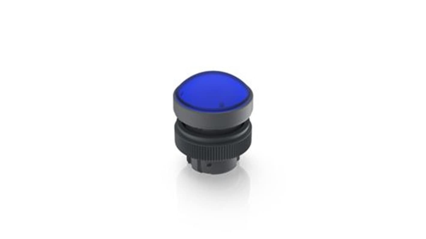 RAFI 蓝色LED指示灯, Φ22.3mm安装孔, 螺纹环端接, IP65, RAFIX 22 QR系列