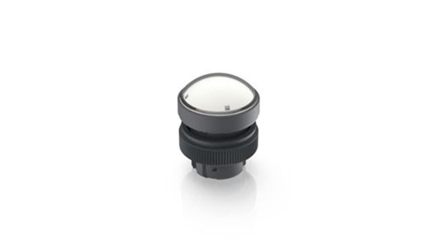 RAFI 白色LED指示灯, Φ22.3mm安装孔, 螺纹环端接, IP65, RAFIX 22 QR系列