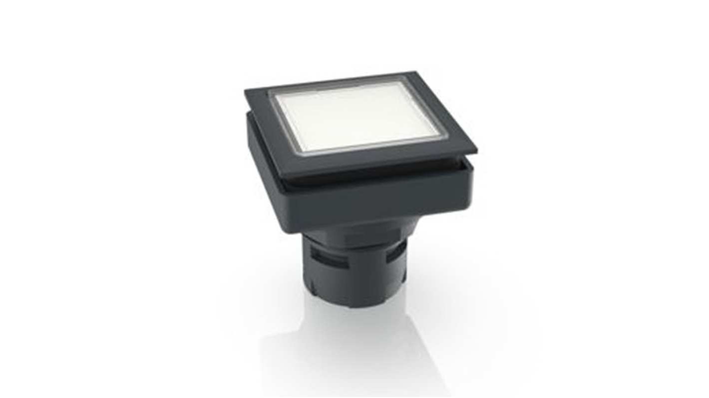 RAFI Clear Push Button Lamp for Use with Push Button
