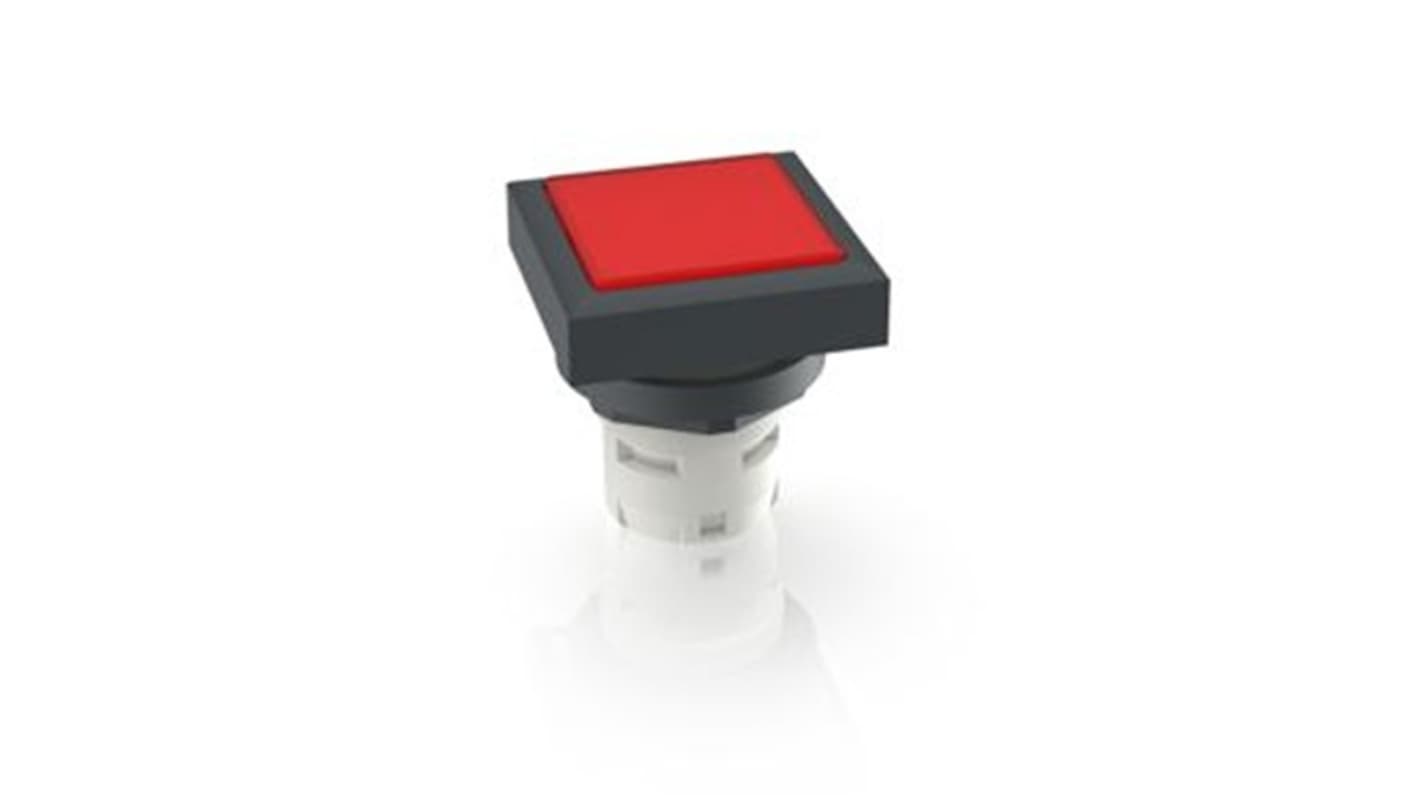 RAFI Push Button Switch for Use with Protective Cap