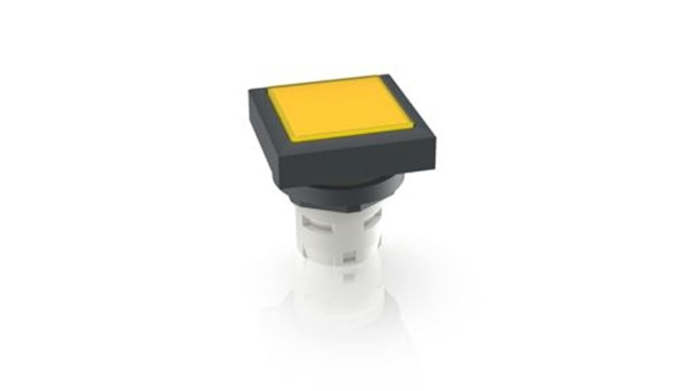 RAFI Push Button Switch for Use with Protective Cap