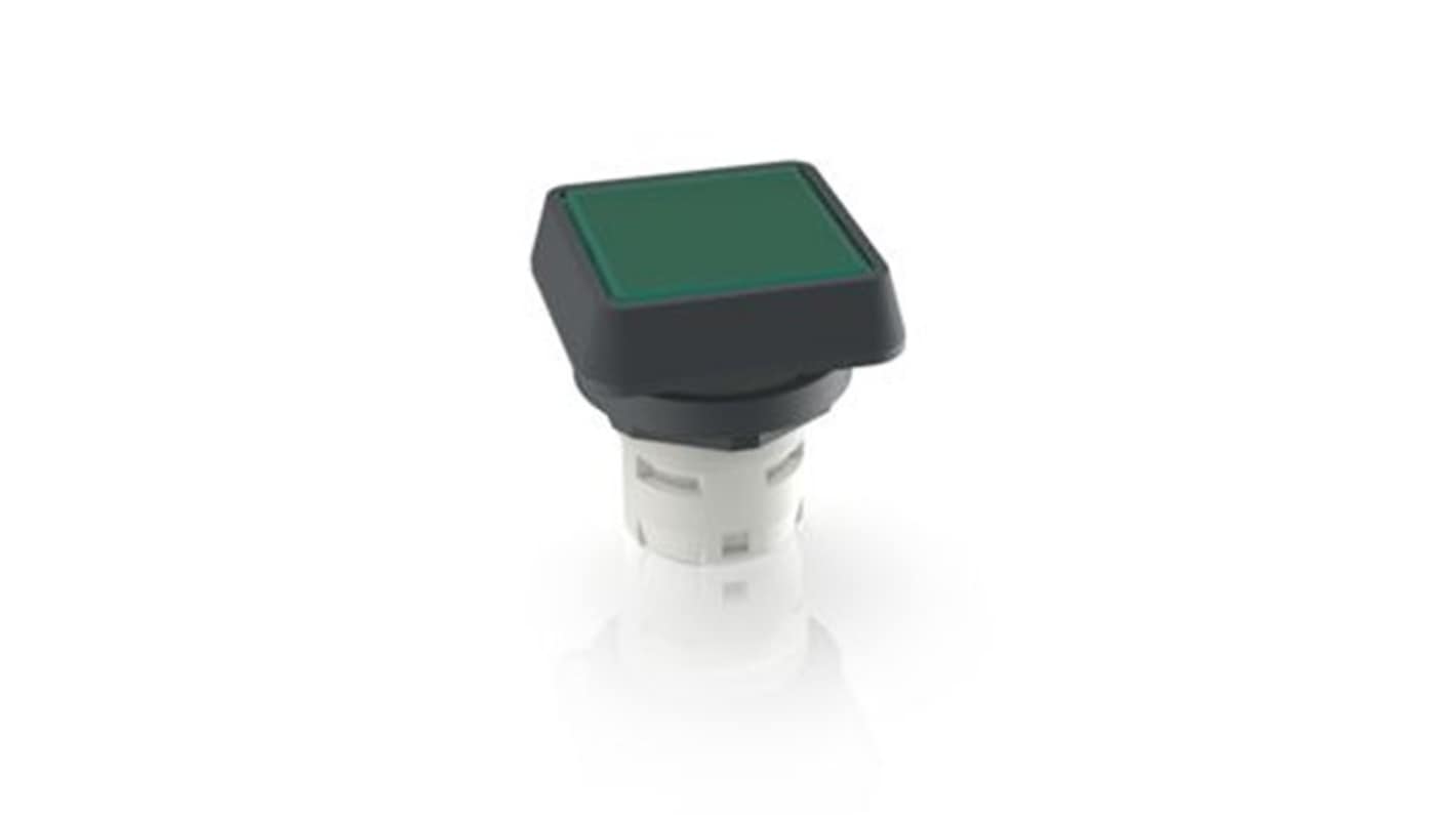 RAFI Push Button Switch for Use with Protective Cap