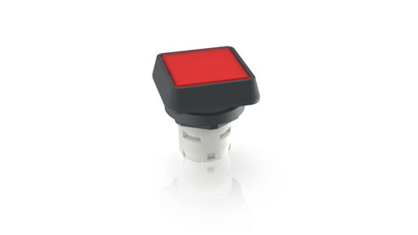 RAFI Push Button Switch for Use with Protective Cap