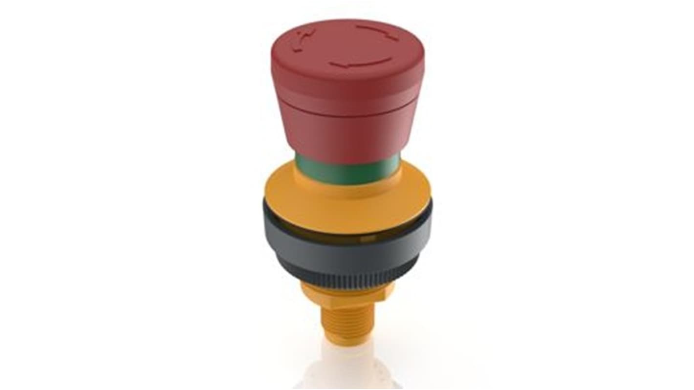 RAFI IP65, IP66, IP67 Key Switch Tubular-Key