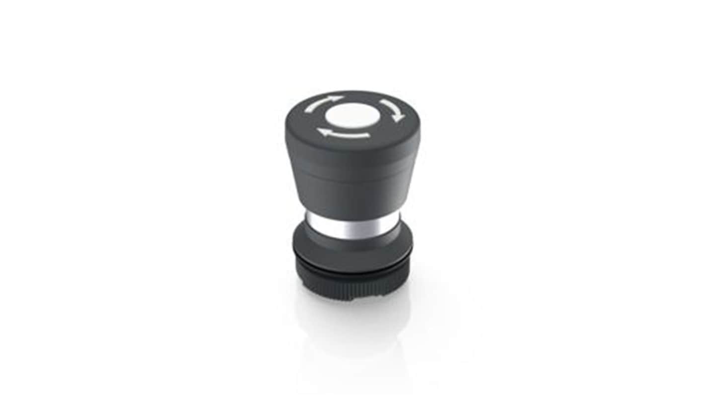 RAFI 带灯照明按钮开关, Φ22.3mm开孔, 通孔安装, 闭锁操作, 黑色, IP65, RAFIX 22系列