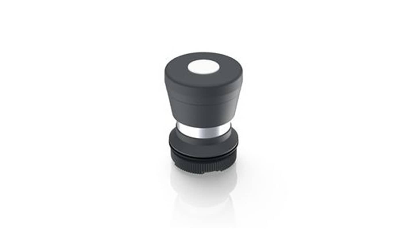 RAFI 带灯照明按钮开关, Φ22.3mm开孔, 通孔安装, 瞬时操作, 黑色, IP65, RAFIX 22系列